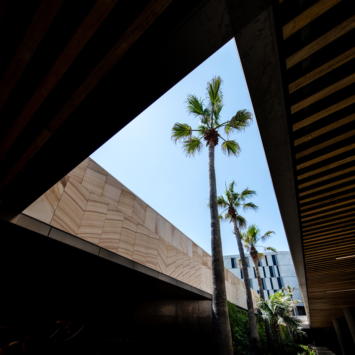 Harbord Diggers Restaurant & Bar Design Awards